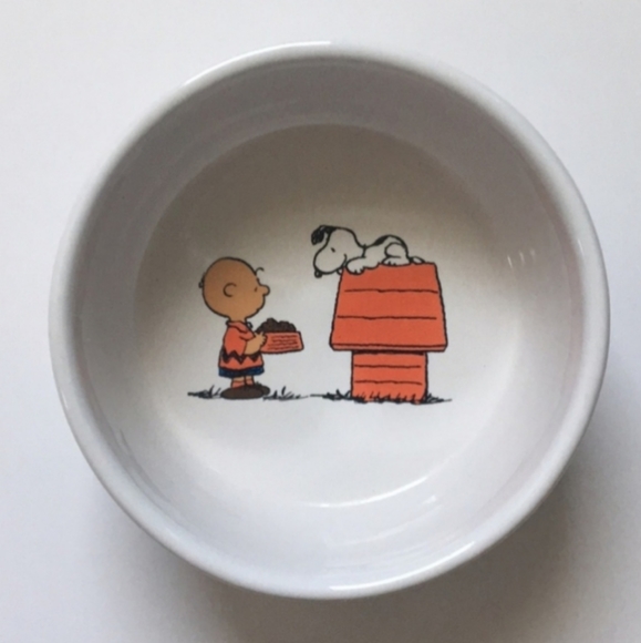 Peanuts | Dog | Peanuts Snoopy Dont Forget To Feed The Dog Bowl | Poshmark